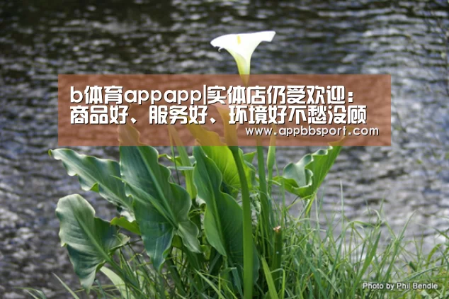 b体育appapp|实体店仍受欢迎:商品好、服务好、环境好不愁没顾客(图3) b体育app