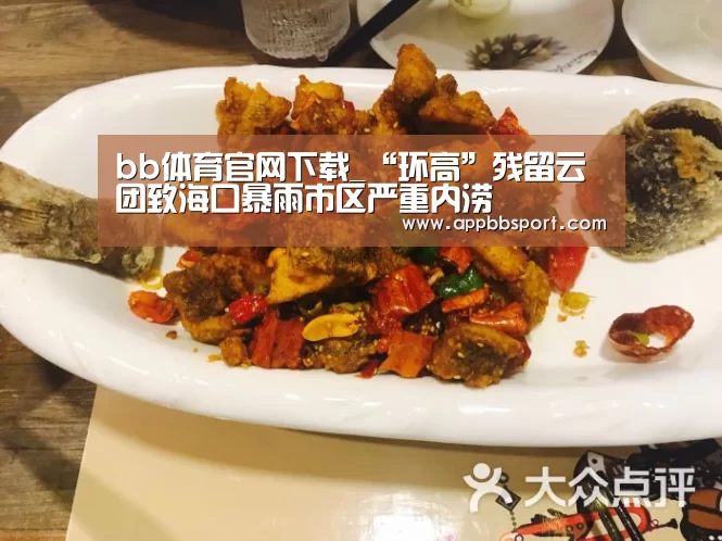 bb体育官网下载_“环高”残留云团致海口暴雨市区严重内涝(图2) bb体育官网下载