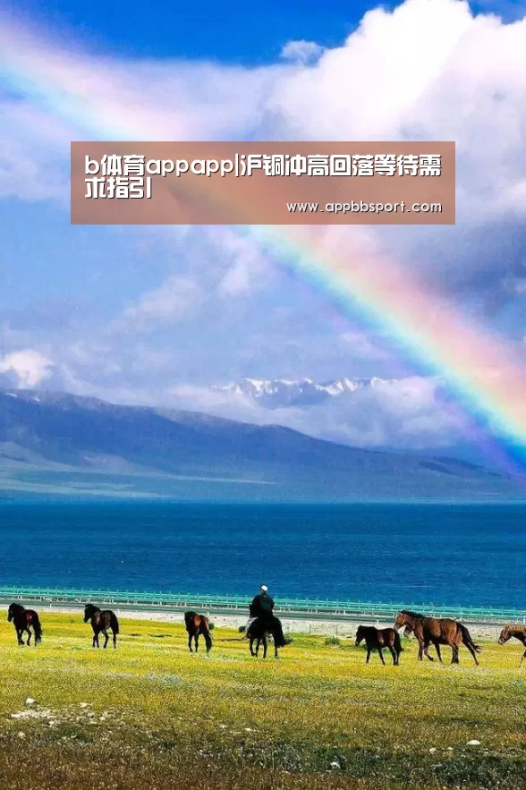 b体育appapp|沪铜冲高回落等待需求指引(图3) b体育app