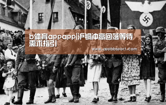 b体育appapp|沪铜冲高回落等待需求指引(图4) b体育app官网