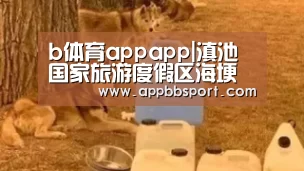b体育appapp|滇池国家旅游度假区海埂街道两地块6月11日挂牌交易(图2) b体育appapp