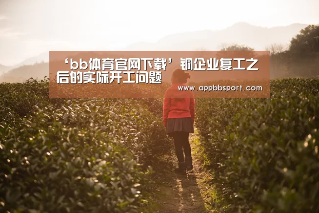 ‘bb体育官网下载’铜企业复工之后的实际开工问题(图1) bb体育官网下载