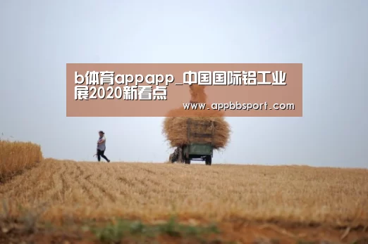 b体育appapp_中国国际铝工业展2020新看点(图4) b体育appapp