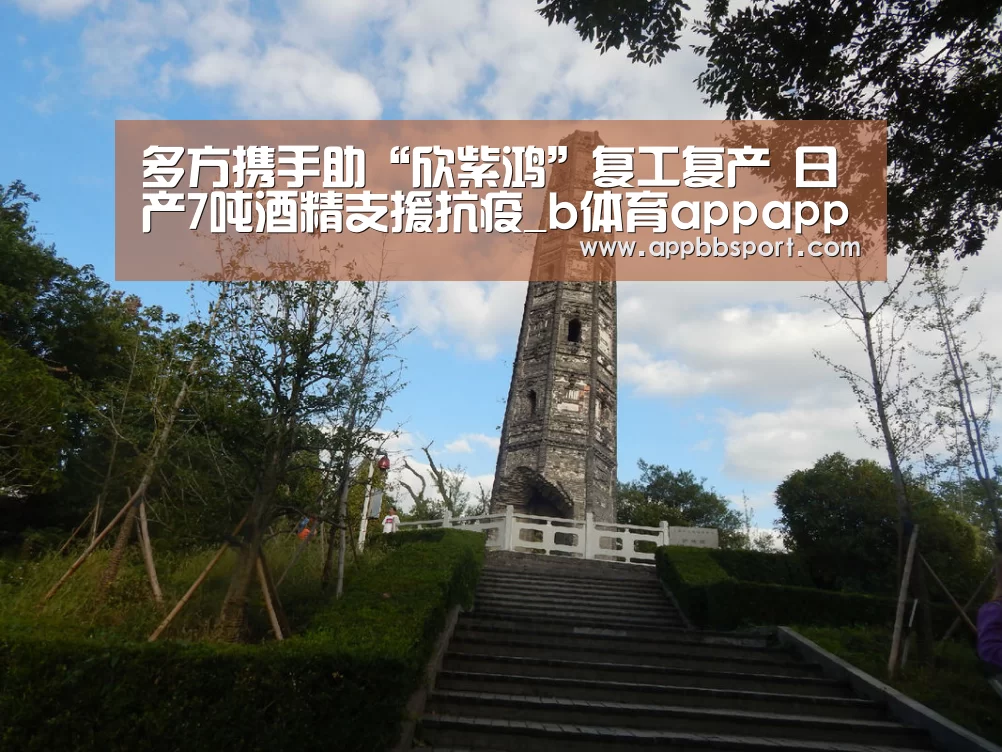 多方携手助“欣紫鸿”复工复产 日产7吨酒精支援抗疫_b体育appapp(图1) b体育app