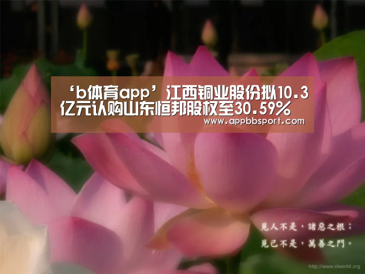 ‘b体育app’江西铜业股份拟10.3亿元认购山东恒邦股权至30.59%(图1) bb体育官网下载
